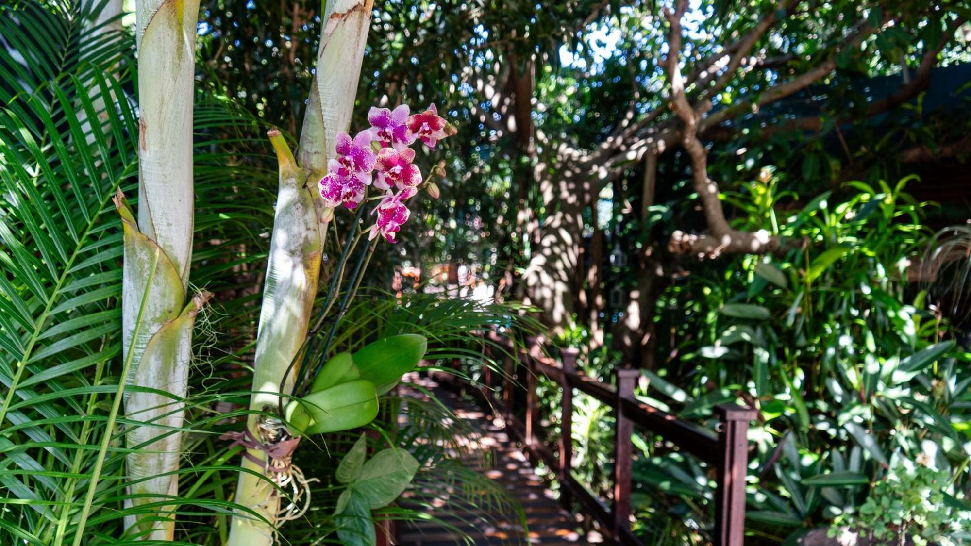 Luxury Tented Village @ Urban Glamping St Lucia Bagian luar foto